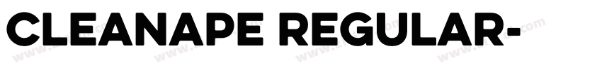 CleanApe Regular字体转换